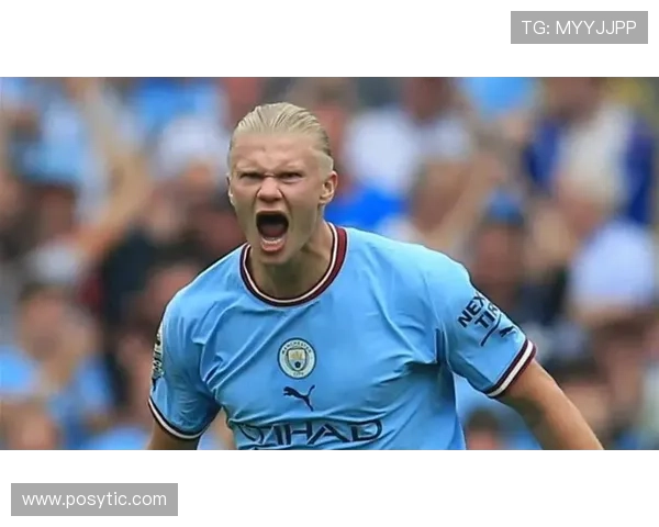 哈兰德心理稳定性